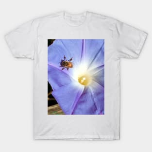 Morning Glory and Bee T-Shirt